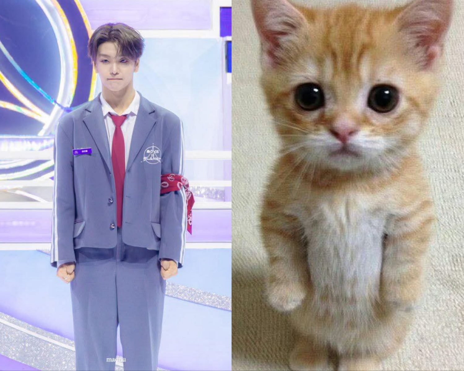 A moment captured by He Xinlong (ALPHA DRIVE ONE)'s fan