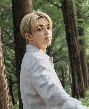 Recent activity shot of S.Coups (SEVENTEEN)