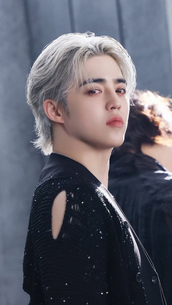 A moment captured by S.Coups (SEVENTEEN)'s fan