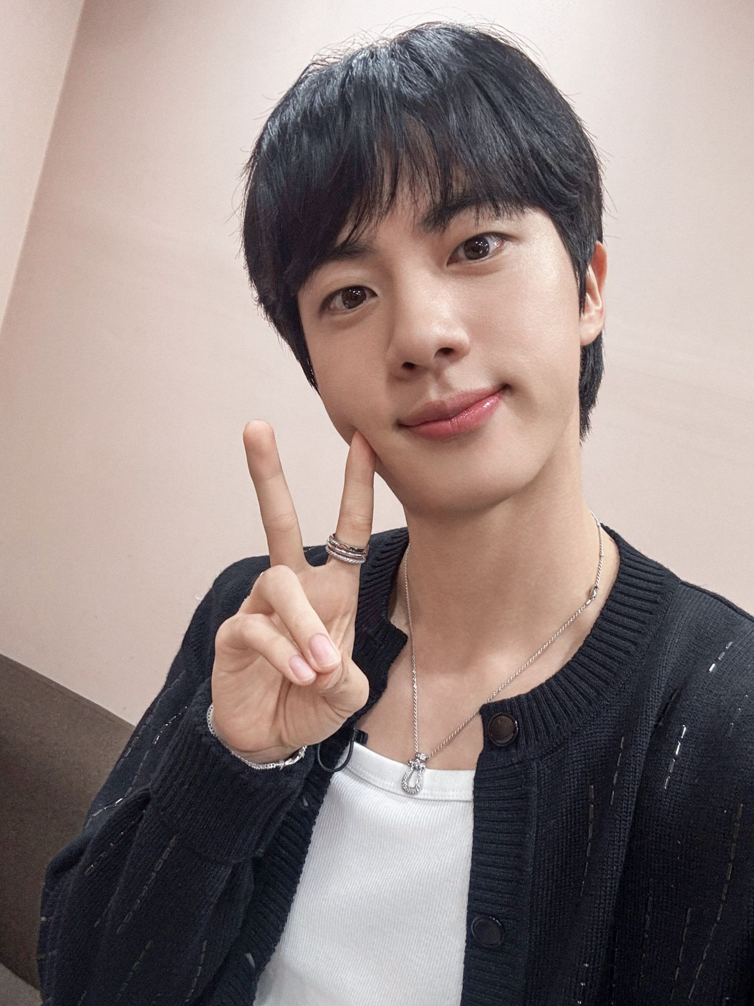 진 (방탄소년단) 팬이 찍은 순간