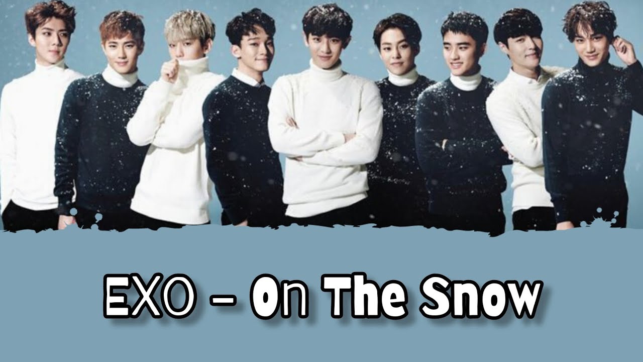 첸 (EXO) 팬이 찍은 순간