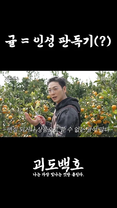 백호의 비하인드 컷