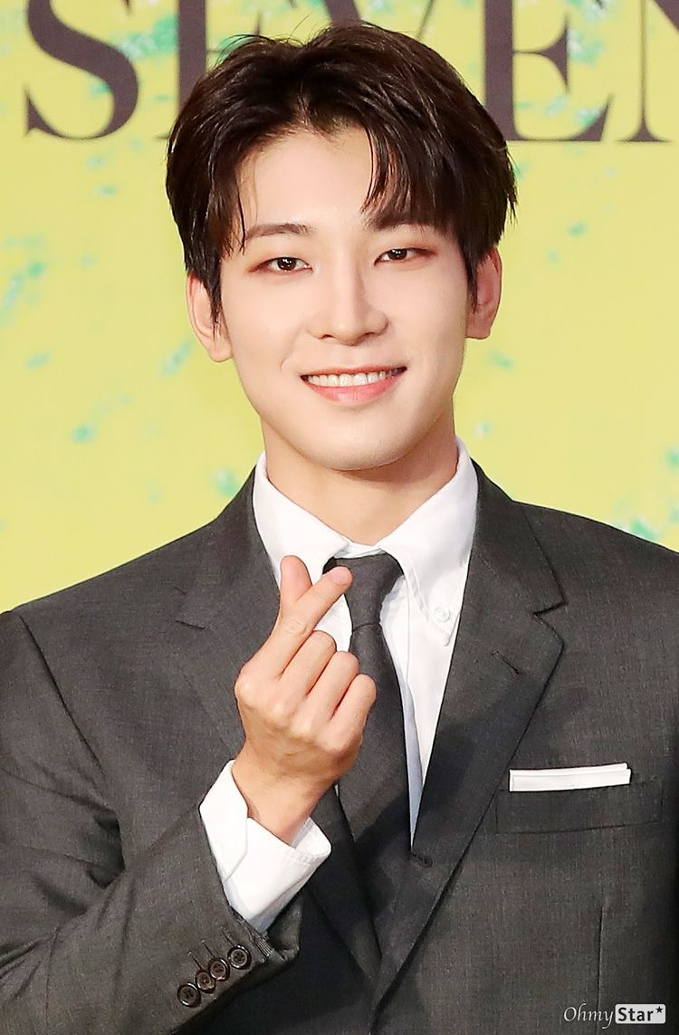 Recent activity shot of Wonwoo (SEVENTEEN)