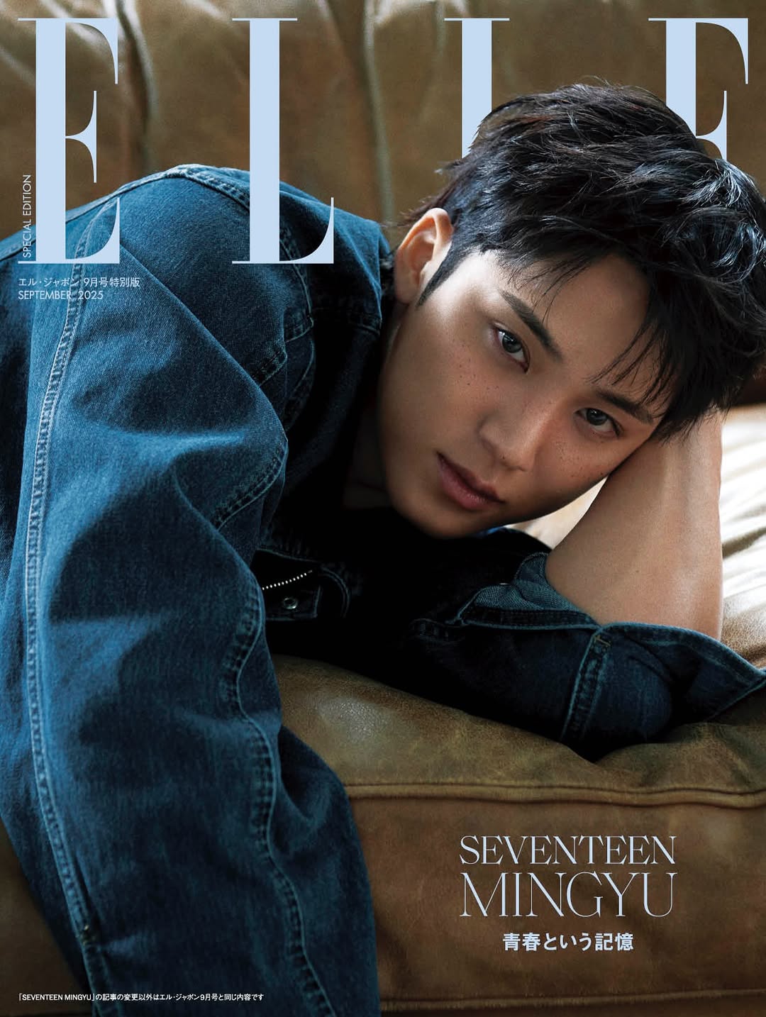 Recent activity shot of Mingyu (SEVENTEEN)