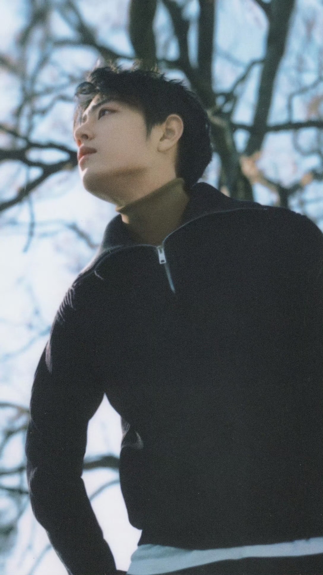 Today's most popular wallpaper in the Xiao Zhan community