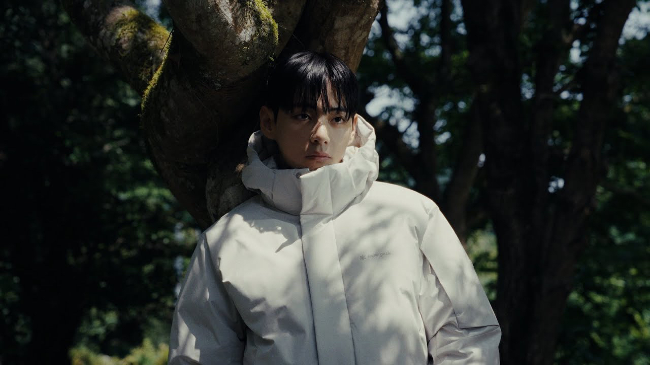 뷔 (방탄소년단) 팬이 찍은 순간