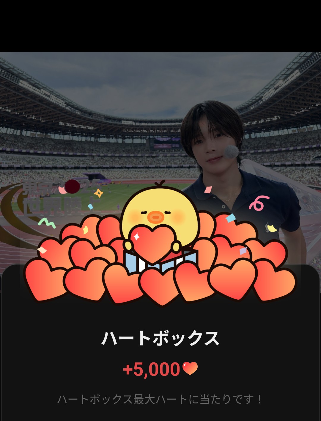 K (&TEAM)的最新照片