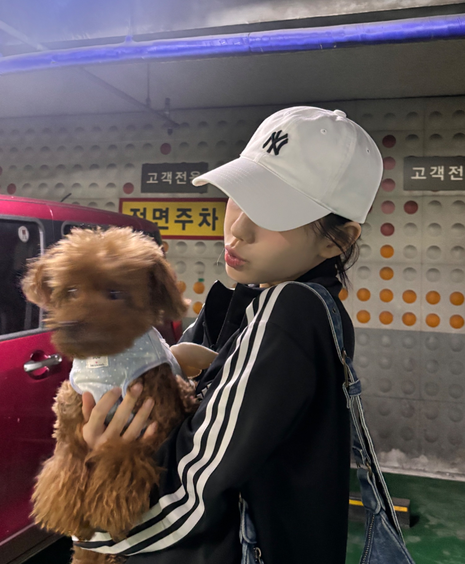 Recent activity shot of Ryu Sarang (izna)