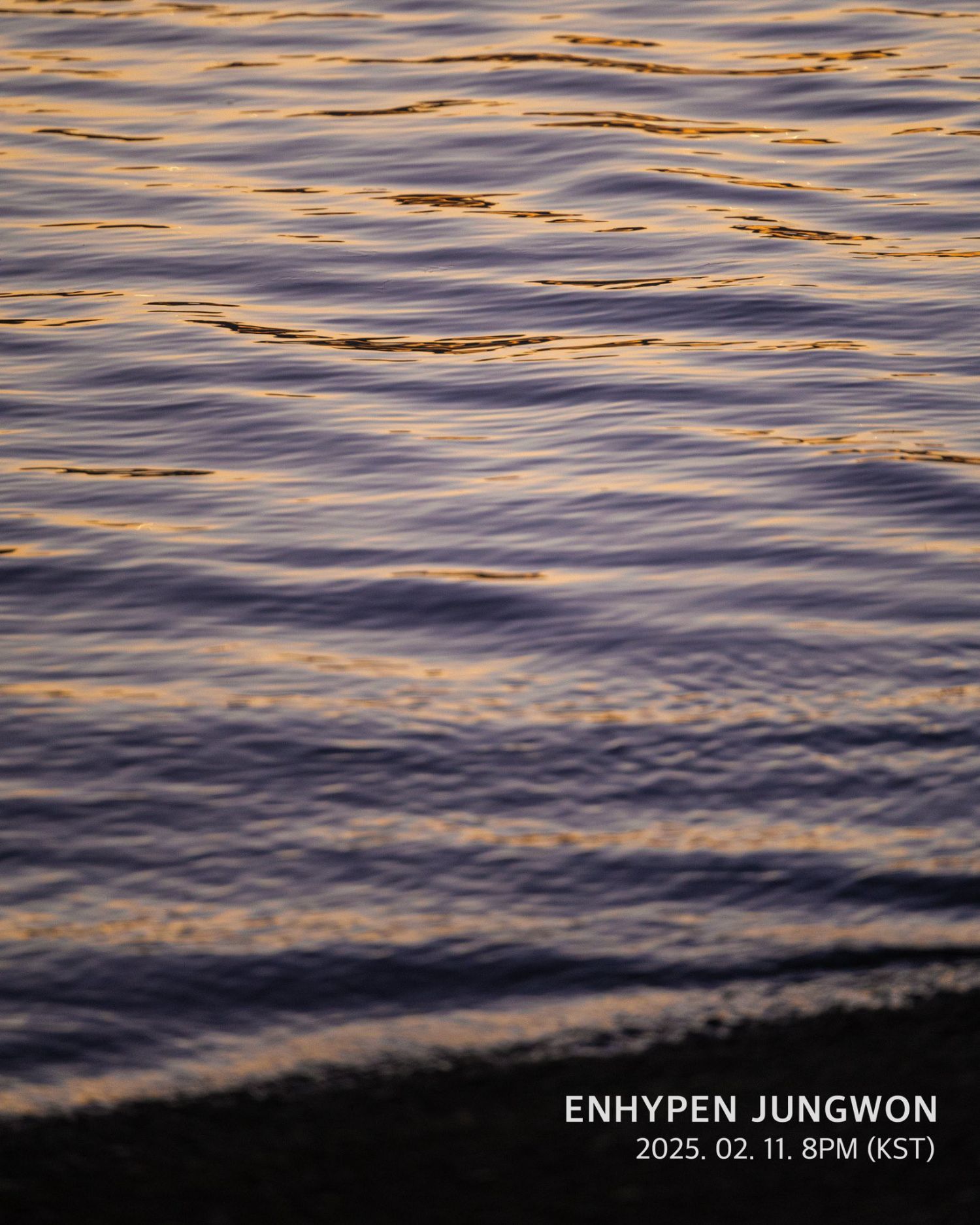 A moment captured by Jungwon (ENHYPEN)'s fan