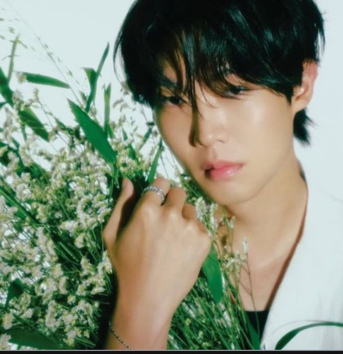 Latest photo of Secret Garden