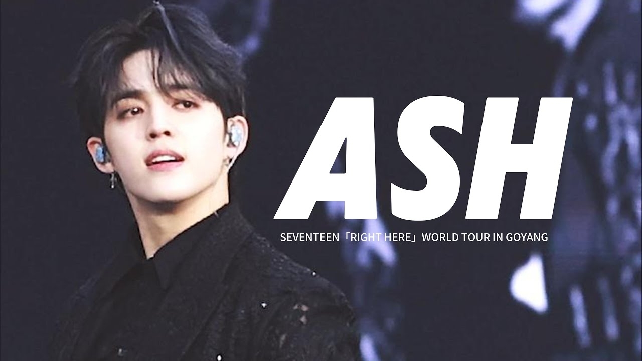 A moment captured by S.Coups (SEVENTEEN)'s fan