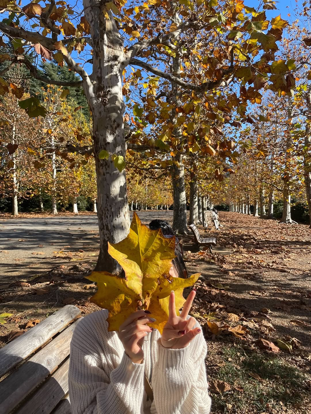 Recent activity shot of Sakurai Miu (ME:I)