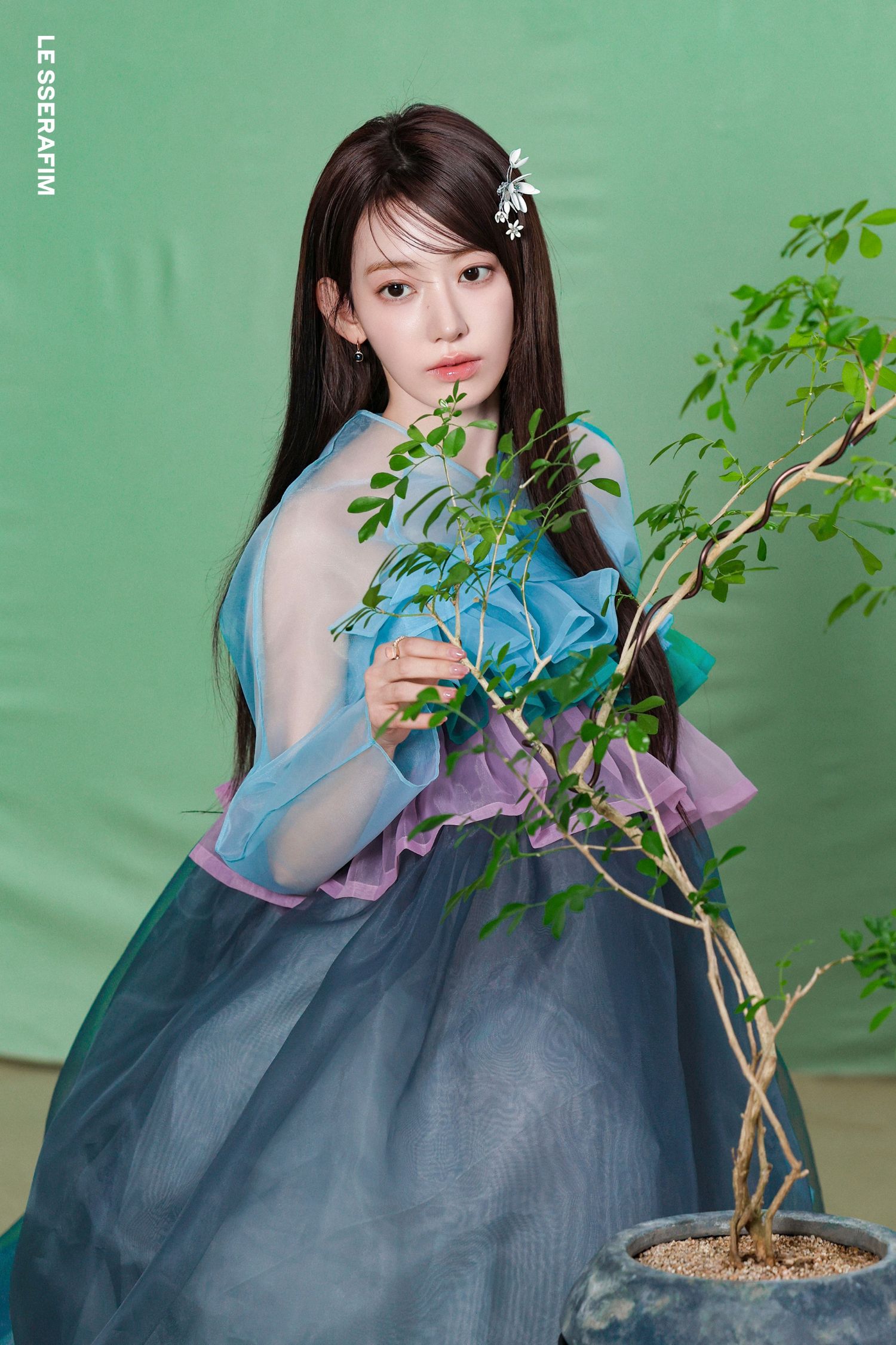 Recent activity shot of Sakura (LE SSERAFIM)