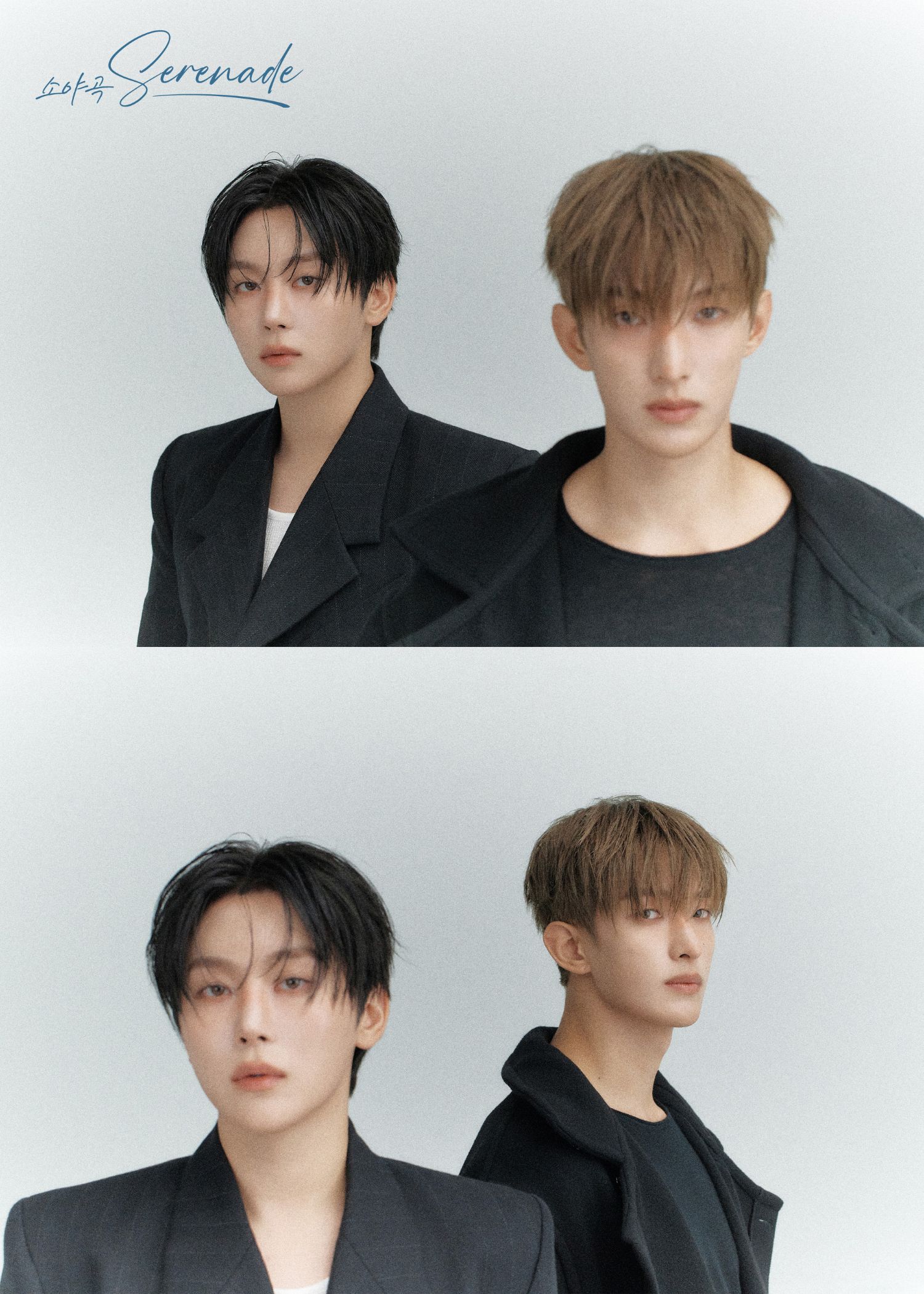 세븐틴 팬이 찍은 순간