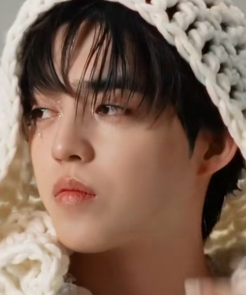 A moment captured by S.Coups (SEVENTEEN)'s fan
