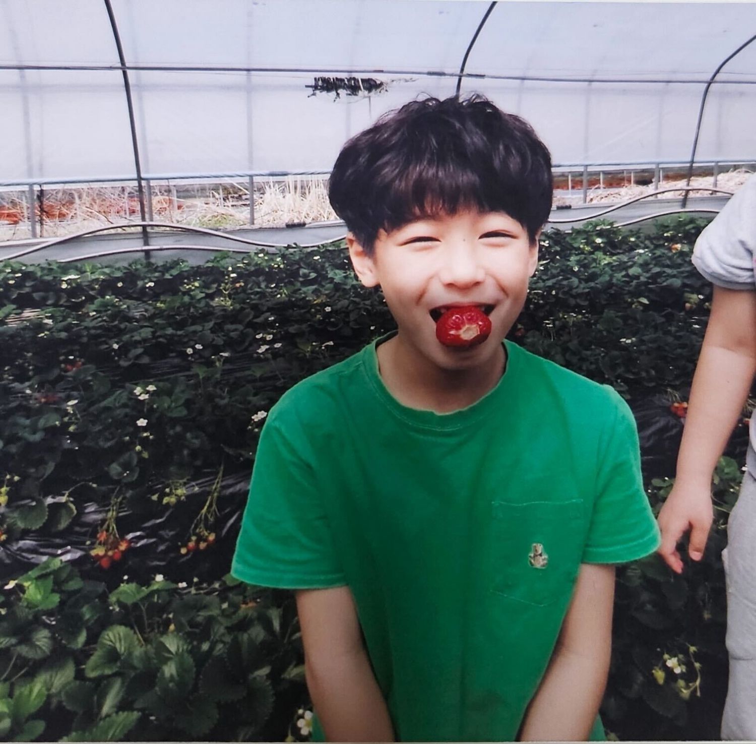 Latest photo of Leehan (BOYNEXTDOOR)