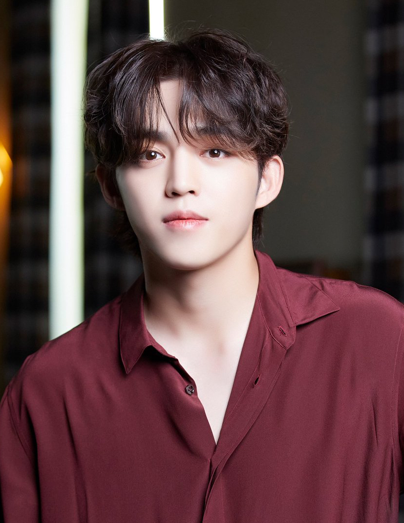Potret di balik layar S.Coups (SEVENTEEN)