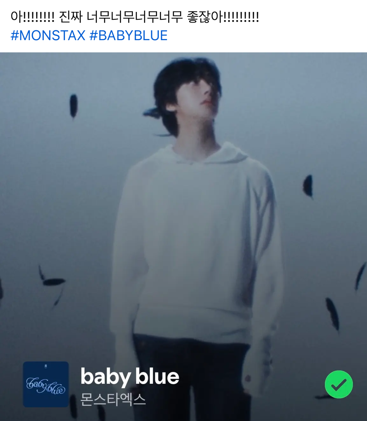 몬스타엑스 팬이 찍은 순간