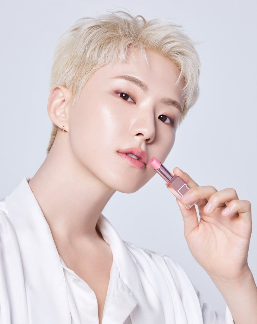 A moment captured by Hoshi (SEVENTEEN)'s fan
