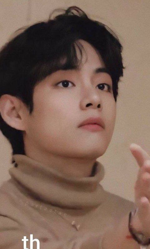뷔 (방탄소년단) 팬이 찍은 순간