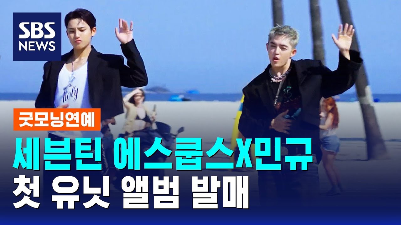 세븐틴 팬이 찍은 순간