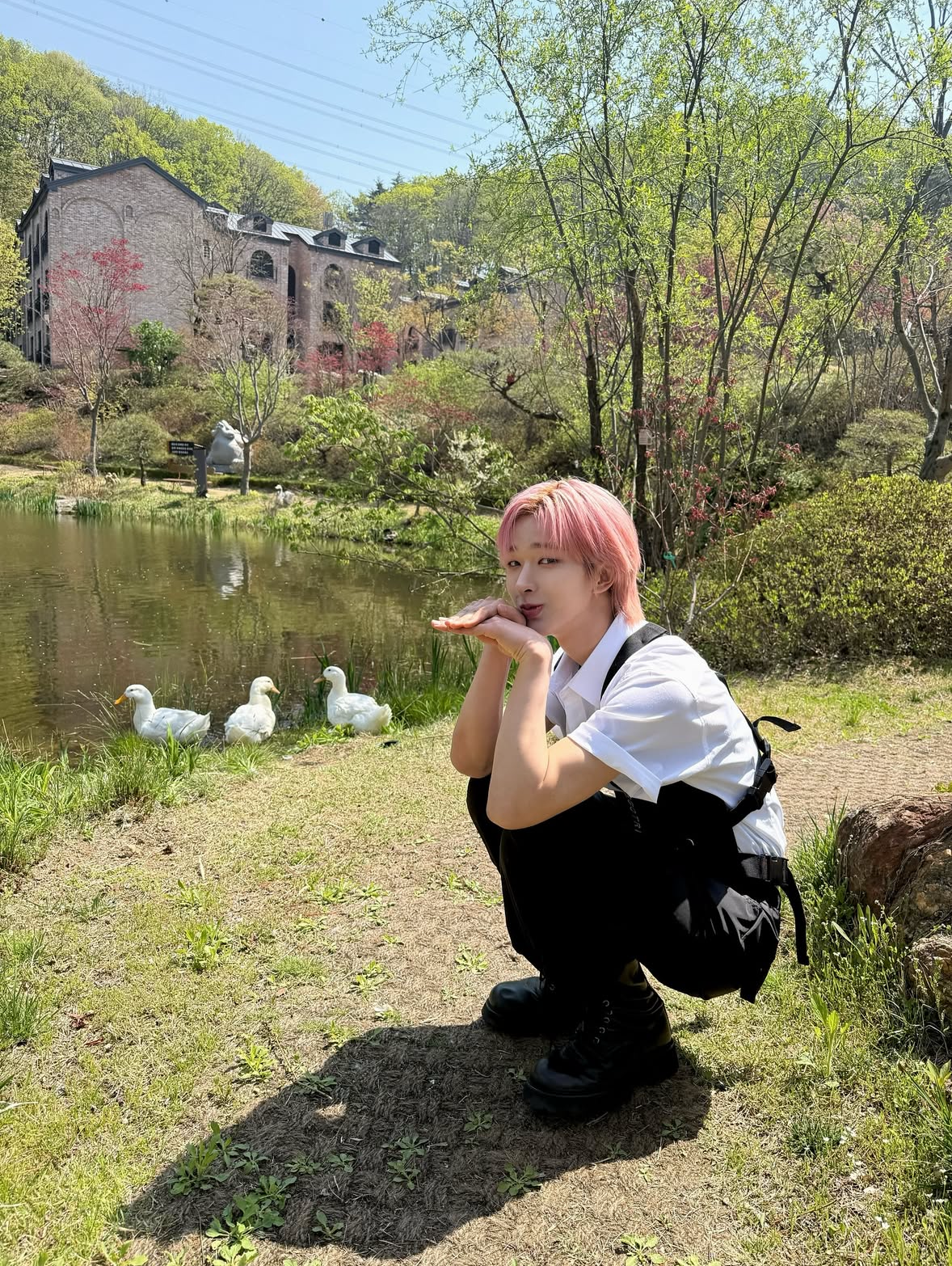 Latest photo of Tomoya (NEXZ)