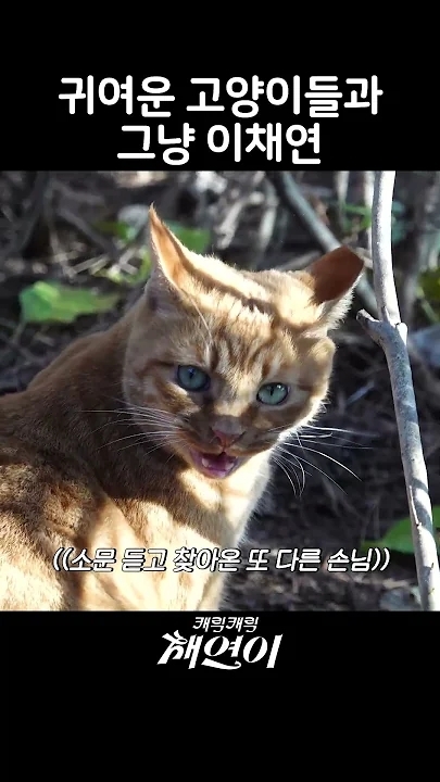 イ・チェヨンファンが撮った瞬間