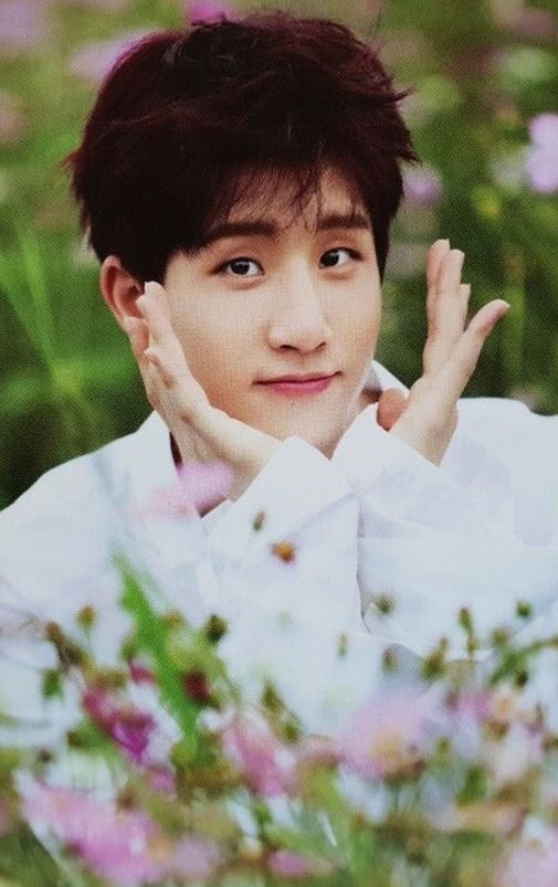 Latest photo of Jinjin (ASTRO)