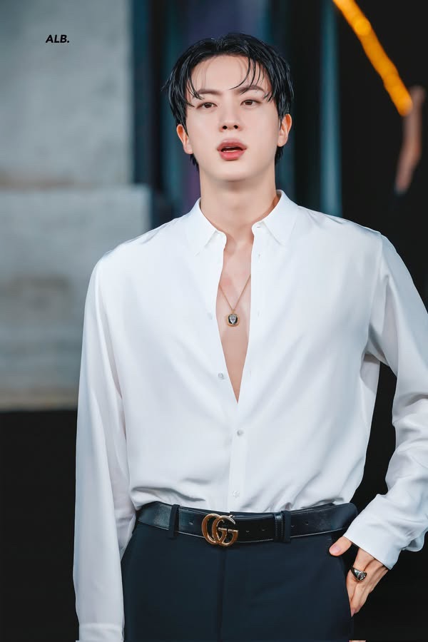 A moment captured by Jin (BTS)'s fan