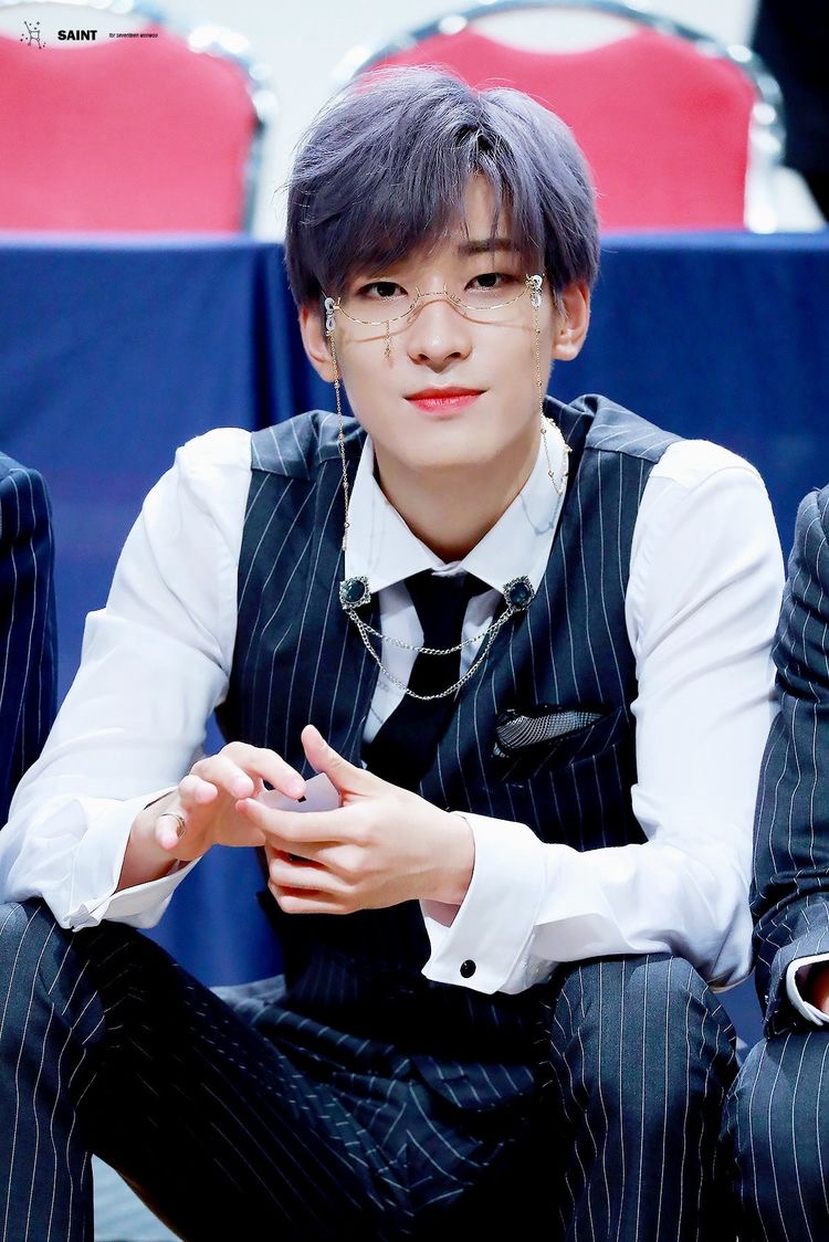 Recent activity shot of Wonwoo (SEVENTEEN)