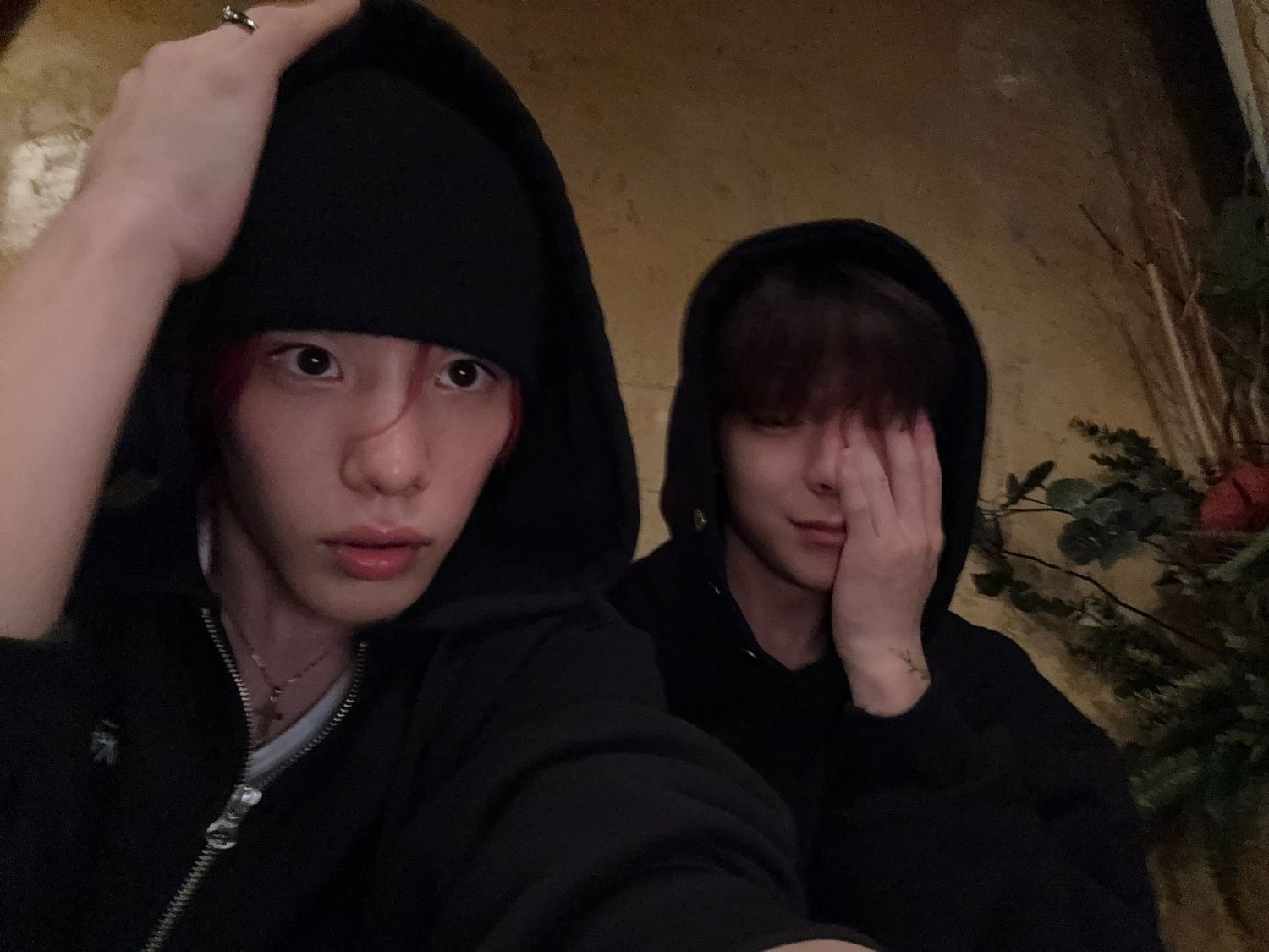 Recent activity shot of OMEGA X