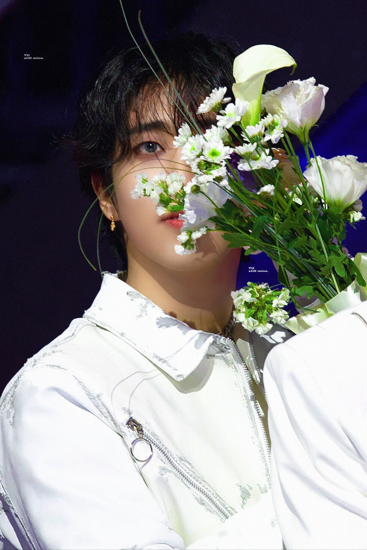 Latest photo of HAN (Stray Kids)