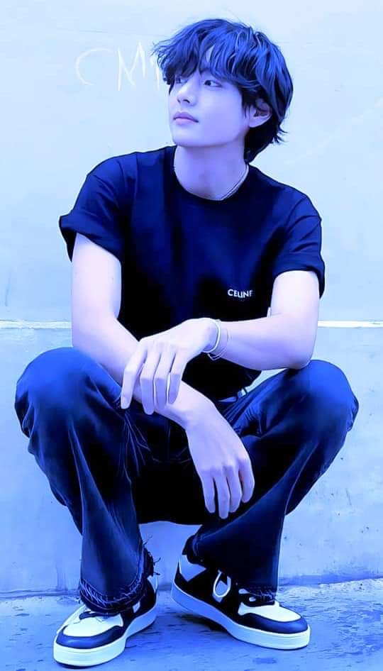 Behind-the-scenes cut of V (BTS)