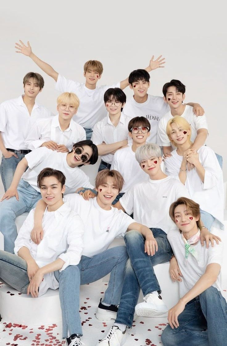 A moment captured by SEVENTEEN's fan