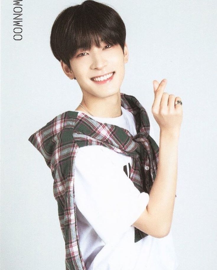 Recent activity shot of Wonwoo (SEVENTEEN)
