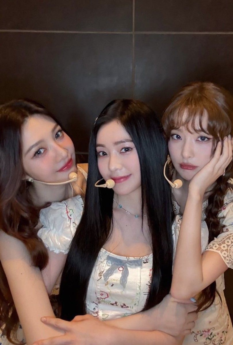 조이 (레드벨벳) 팬이 찍은 순간