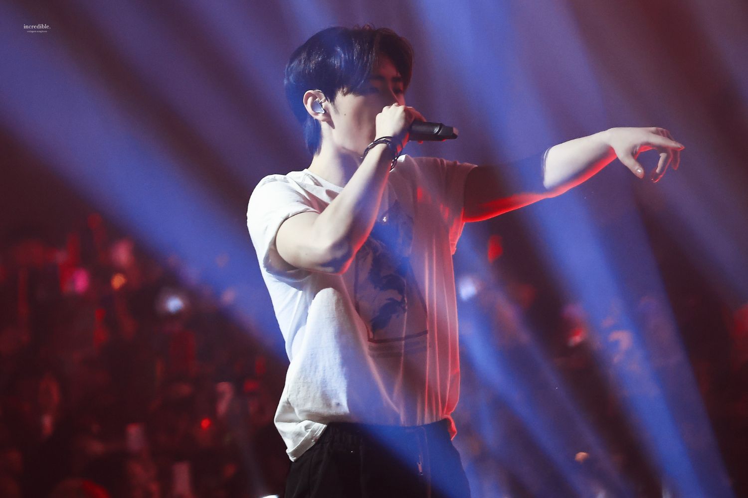 A moment captured by Sunghoon (ENHYPEN)'s fan