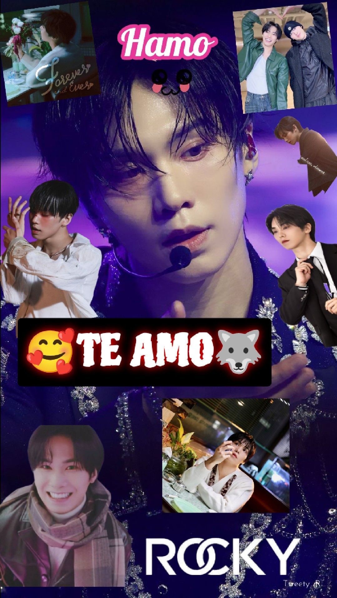 Latest photo of Rocky