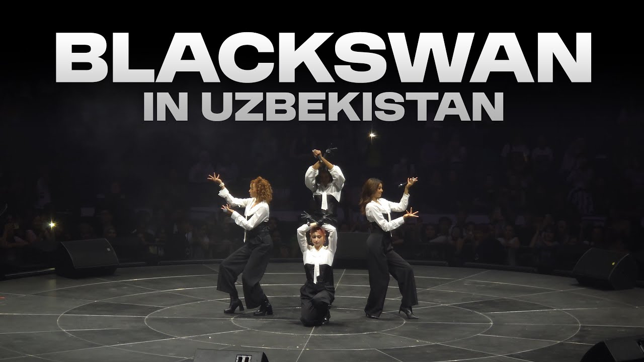 Recent activity shot of Blackswan
