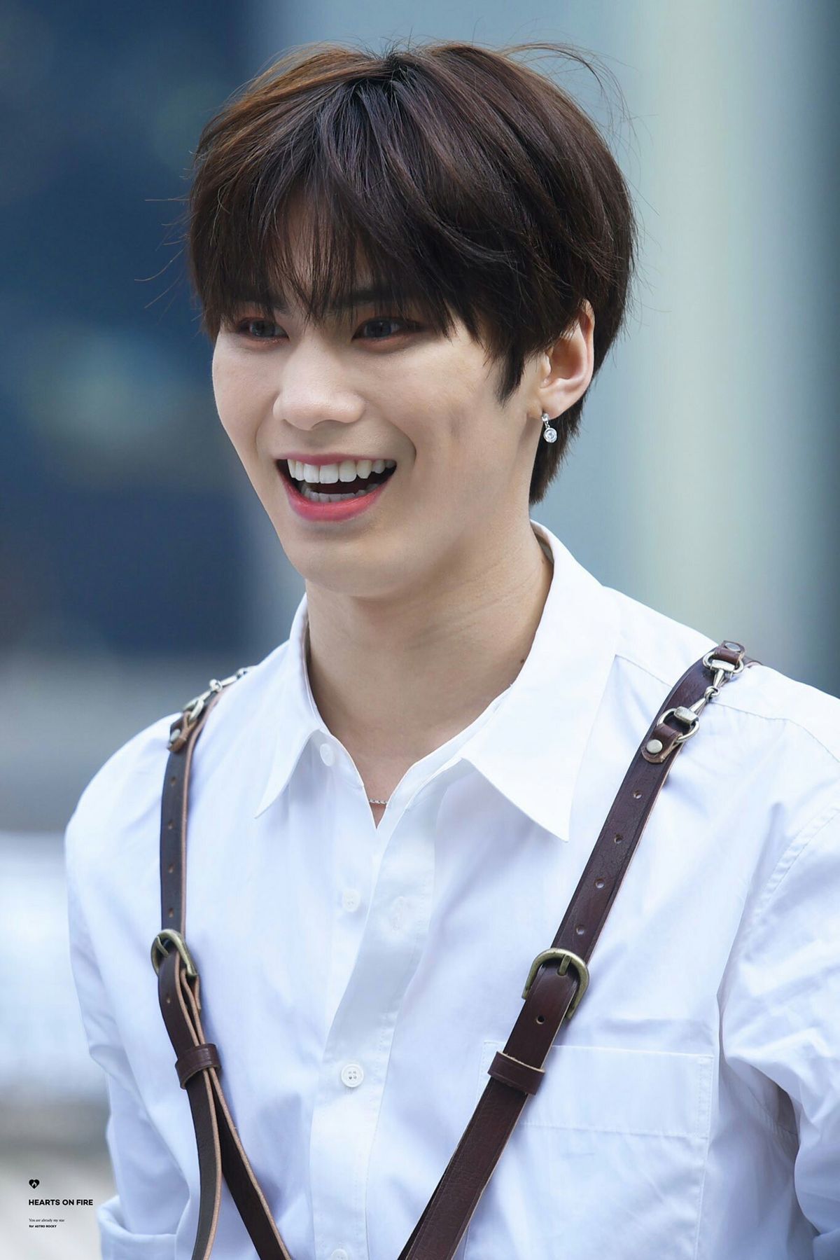 Recent activity shot of Rocky