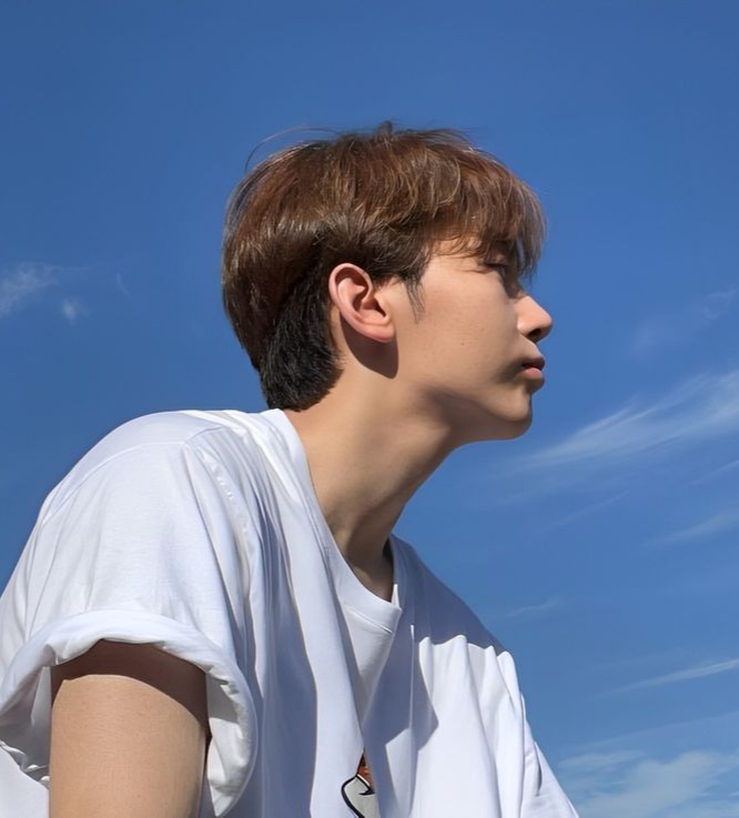 A moment captured by Seungkwan (SEVENTEEN)'s fan