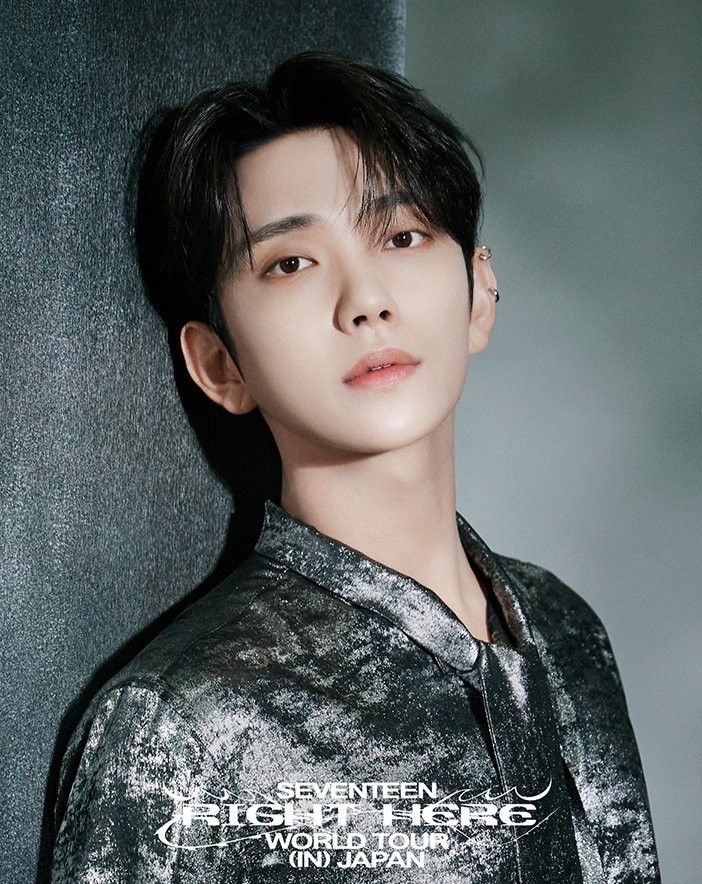 A moment captured by Joshua (SEVENTEEN)'s fan