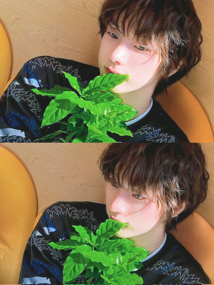 成淏 (BOYNEXTDOOR)的幕後花絮