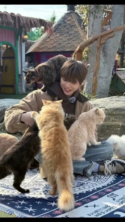 강다니엘 팬이 찍은 순간