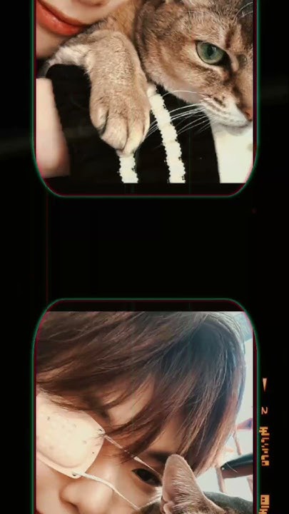 A moment captured by Kang Daniel's fan