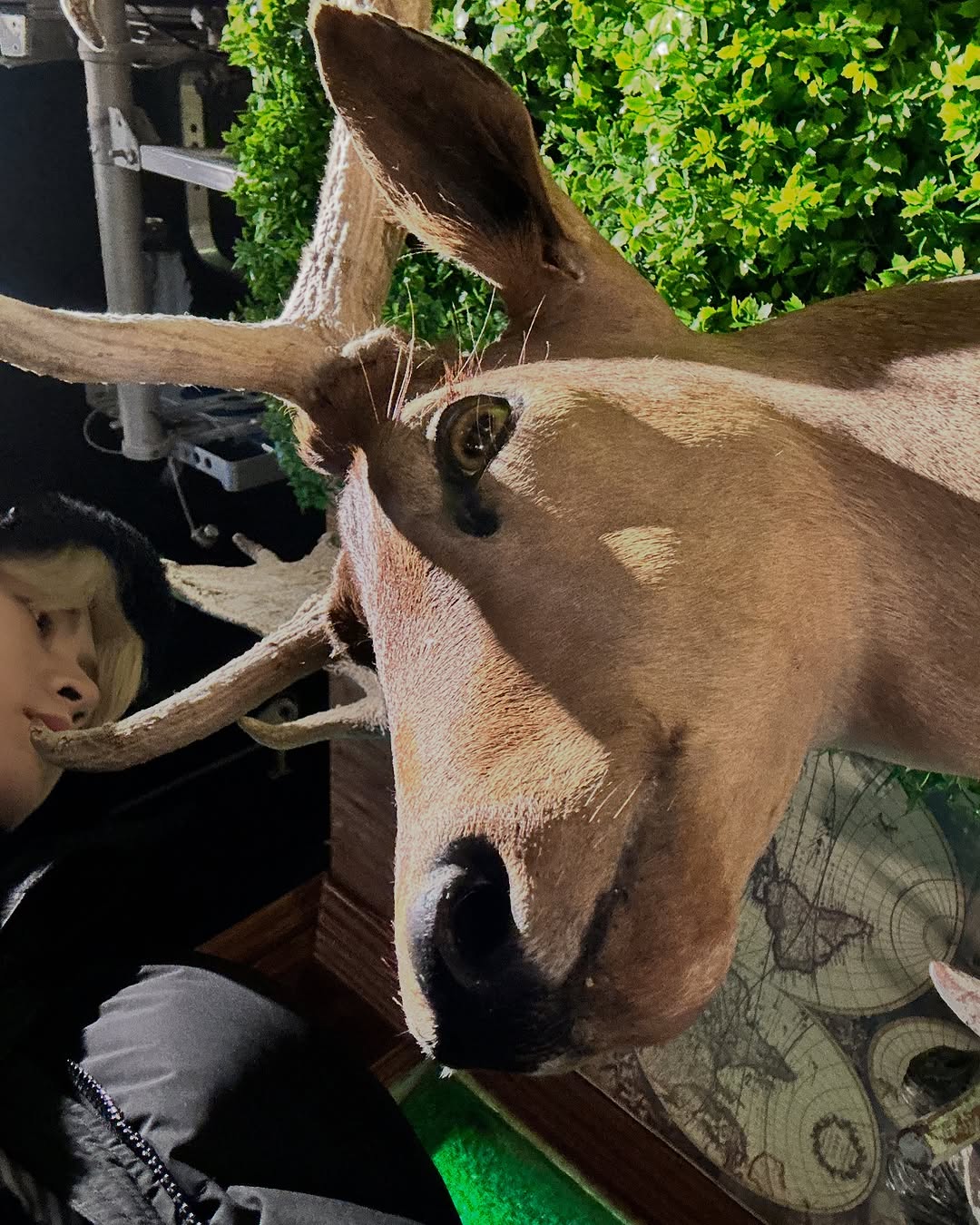Behind-the-scenes cut of Mei Tsiang (SEVEN TO EIGHT)
