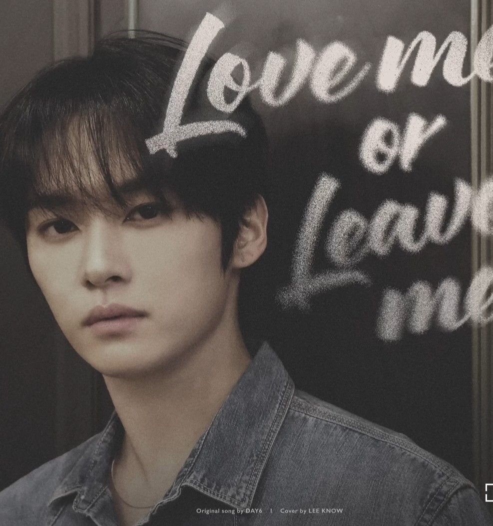 A moment captured by Lee Know (Stray Kids)'s fan