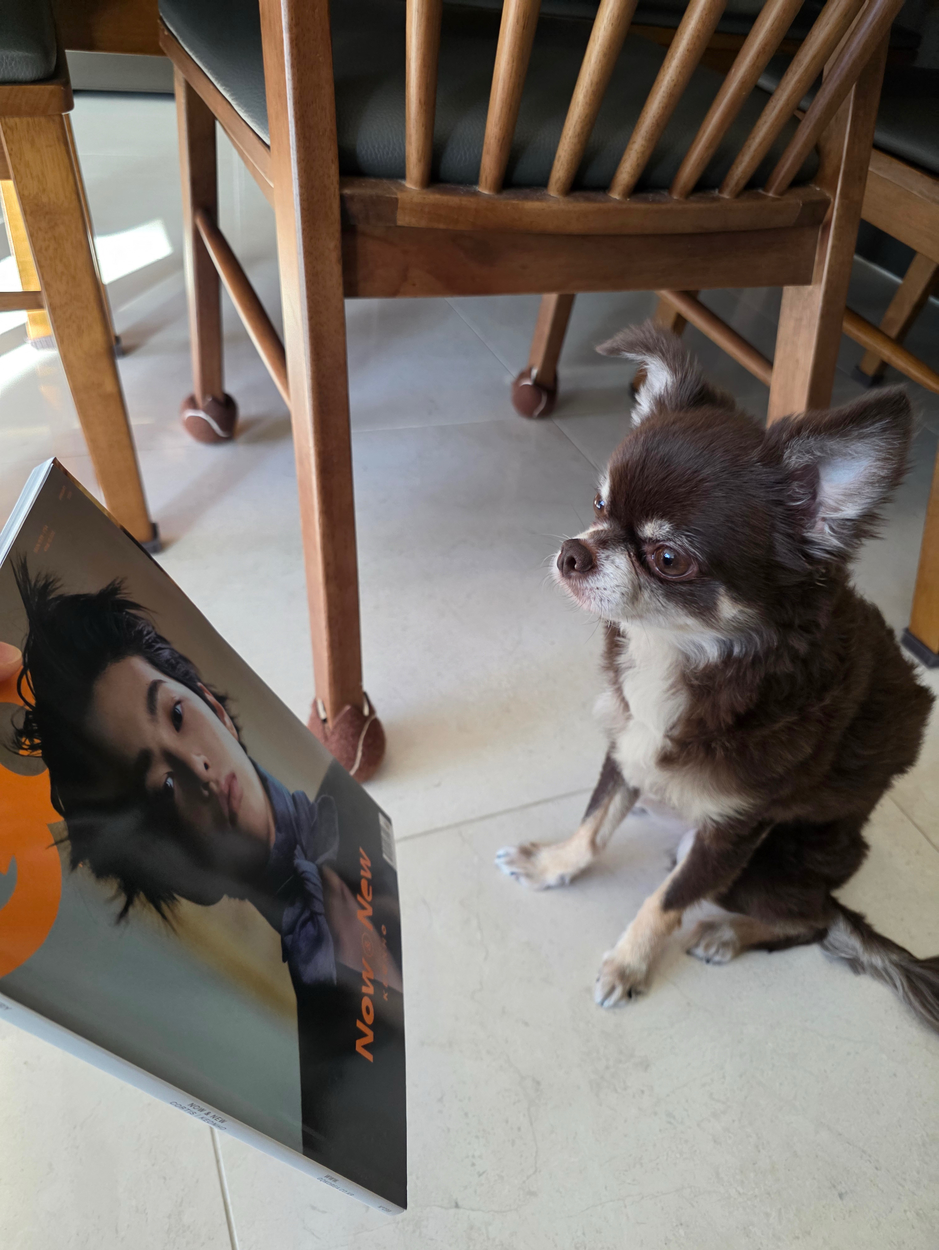 Behind-the-scenes cut of Keonho (CORTIS)