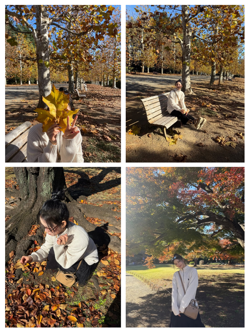 A moment captured by Sakurai Miu (ME:I)'s fan