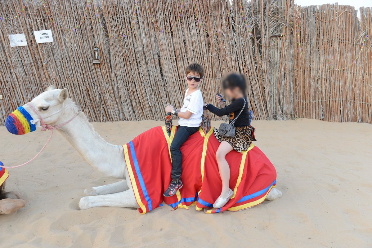 Recent activity shot of Xikers